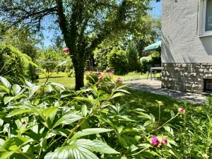 img 6569