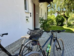 img 6577